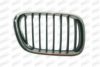 PRASCO BM8202003 Radiator Grille